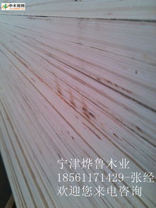 中木商網(wǎng) 一站式木材產(chǎn)品與資訊服務(wù)平臺