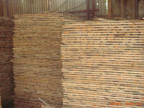 匠心筑夢，木韻流芳——走進(jìn)駿起木業(yè)加工廠