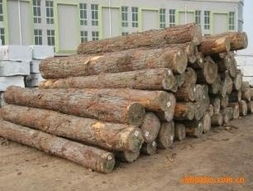 泰和縣方圓木業(yè)原木產(chǎn)品列表 精選優(yōu)質(zhì)木材，打造自然之美